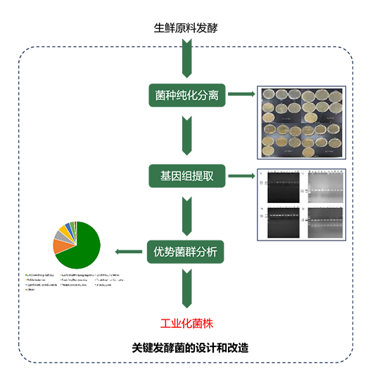 天然發(fā)酵增香技術(shù)